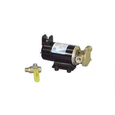 Bomba para recambio de aceite de 12 Vcd