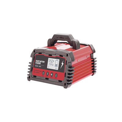 Cargador de Baterías / 12 o 24 Vcc / hasta 250 Ah / 25 A / Display LCD