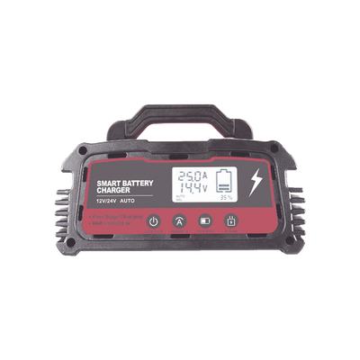 Cargador de Baterías / 12 o 24 Vcc / hasta 250 Ah / 25 A / Display LCD