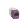 Conector Jack RJ45 Estilo TG, Mini-Com, Categoría 6, de 8 posiciones y 8 cables, Color Violeta
