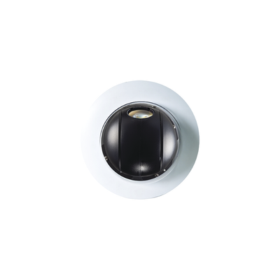 DOMO PTZ IP 2MP | 30X de Zoom | Dia/Noche Real ICR | WDR Real | Video Análisis | uso en plafon | interior | DirectIP