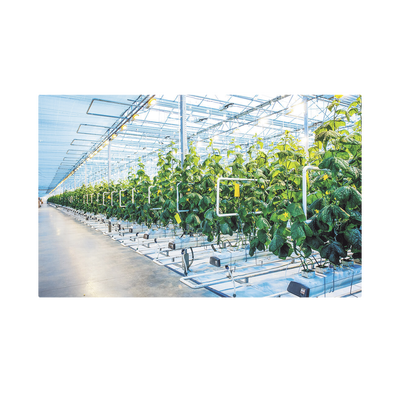 Sensor de Monitoreo IoT de Humedad, Temperatura y Conductividad del Suelo