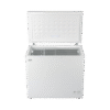 Congelador Solar Ecológico de 250 L - 12/24V, Ahorro Energético y Operación sin Red Eléctrica.