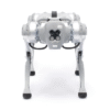 Perro Robot Biónico Para Inspección / Inteligencia Artificial / Reconocimiento De Humanos / Incluye 1 Control Remoto / Tareas Programadas / Cámara Integrada