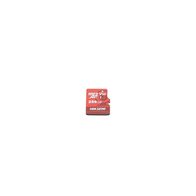 Memoria microSD / Clase 10 de 256 GB / Especializada Para Videovigilancia (Uso 24/7) / Compatibles con cámaras HIKVISION y Otras Marcas / 95 MB/s Lectura / 55 MB/s Escritura