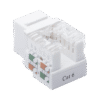 Módulo Jack Keystone Cat6 con terminación 110 (Punchdown) para faceplate - Color Blanco Módulo Jack Keystone Cat6 con terminación 110 (Punchdown) para faceplate - Color Blanco