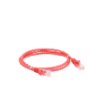 Cable de parcheo UTP Cat6 - 0.5 m - rojo Cable de parcheo UTP Cat6 - 0.5 m - rojo