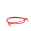 Cable de parcheo UTP Cat6 - 1 m - rojo