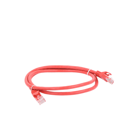 Cable de parcheo UTP Cat6 - 1 m - rojo