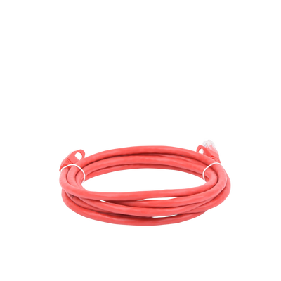 Cable de parcheo UTP Cat6 - 2 m - rojo