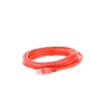 Cable de Parcheo UTP Cat6 - 3.0m. - Rojo Cable de Parcheo UTP Cat6 - 3.0m. - Rojo