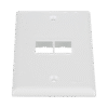 Placa de Pared Vertical, Salida Para 2 Puertos Keystone, Color Blanco