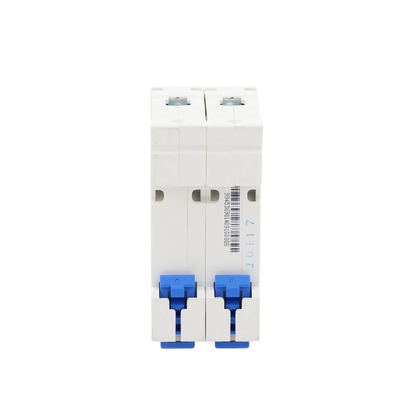 Pastilla para Riel Din, 2 Polos, 10 Amp, Vca:110/415v, 6kA, Catálogo: NXB632PC10, Serie: NXB-63.