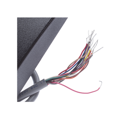 OMNICASS2 SMART + PROX US GANG READER WIEGAND 50CM/18" PIGTAIL