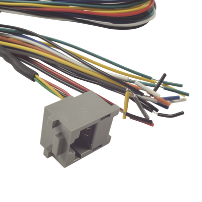 Juego de cables de conexion para Bioentry plus