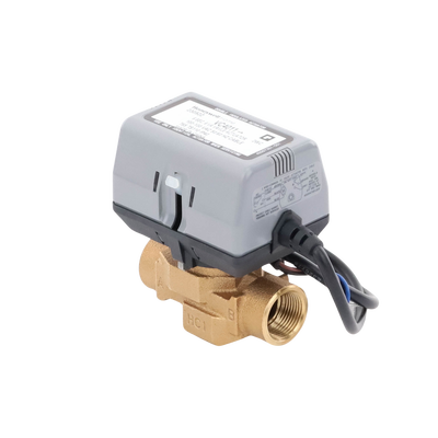 Válvula 3/4 De 2 Vías Conexión de rosca BSPT Con Actuador 40011 A 120V, On/off
