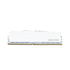 Modulo de Memoria RAM 16 GB / 3600 MHz / Para Equipo Gamer o Alto Procesamiento / Para uso en PC o de Escritorio / UDIMM / Banda de Colores